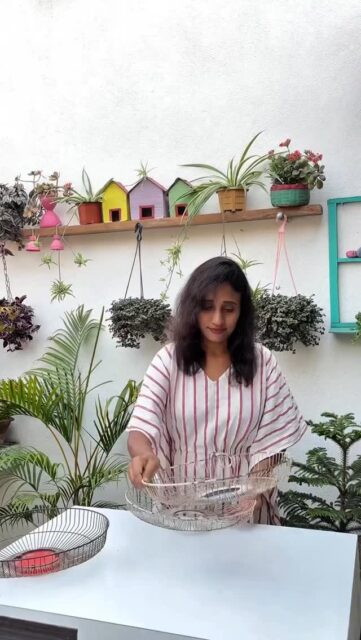 Nos enamoramos de esta creadora de contenido, es sumamente creativa, todo lo que hace es genial y abajo vamos a dejar su cuenta para que la sigan ✨😃 son ideas para hacerlas con materiales reciclados 🥰 fáciles de hacer y además hermosas 💃❤️. Que te parecen?

Visítanos en:📍entre la Av. Federico Boyd y Calle 50, Diagonal al Scotiabank, frente a la Fundación Gabriel Lewis Galindo.

Si quieres más ideas como esta visita a su creativa autora 👉🏻👉🏻 green_decorzone