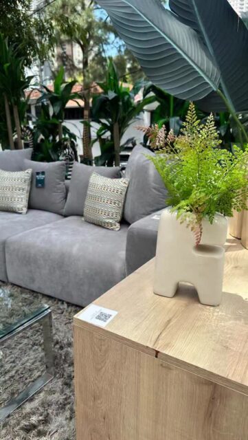 Es fin de semana y nosotros no paramos de traer piezas únicas 🤩🥳

Ven y enamorate de oportunidades irresistibles 🥰🥰 disfruta de la calidad en muebles que mereces en la mansión Dejavu tenemos de todo para ti🤩

Precios NO incluyen ITBMS
Pieza única / oferta validar hasta agotar la existencia

Visítanos en:📍entre la Av. Federico Boyd y Calle 50, Diagonal al Scotiabank, frente a la Fundación Gabriel Lewis Galindo.

Y CONTÁCTANOS a los 📞

Christopher 📲 +507 6948-4846
Edgardo 📲 +507 6944-6091
Anabel 📲 +507 6553-7970
Héctor 📲 +507 6833-1738

#muebles #mueblesconhistoria #panama #decoracion casas furniture decoration pty muebleriapanama mueblespanama